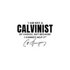 Calvinist Not By Choice - Kiss-Cut Vinyl Decals