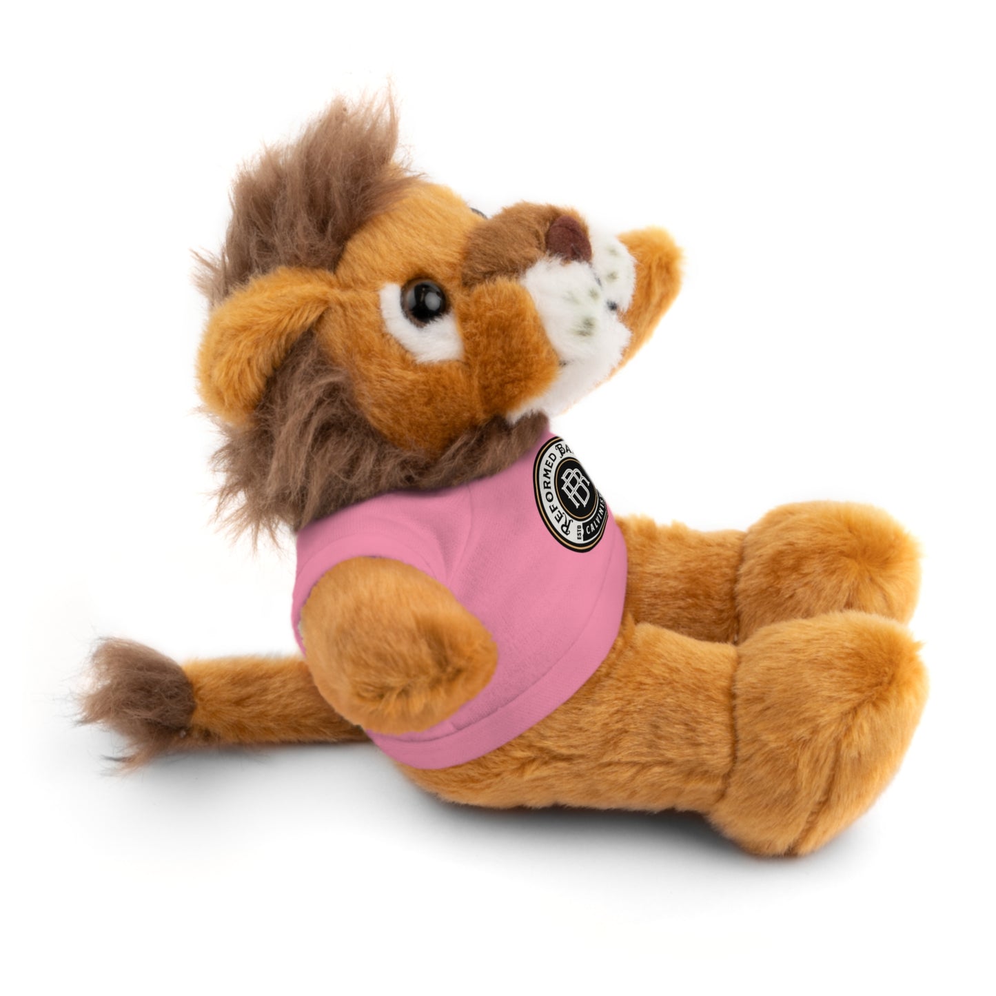 Reformed Baptist - Stuffed Animals with Tee